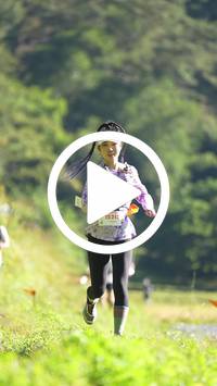 BIB:  <button type="button" onclick="openModal(26576694)" class="btn btn-primary btn-sm float-right" data-toggle="modal" data-target=".modal-high-quality">
                <i class="fa fa-download"></i> Download
                </button>